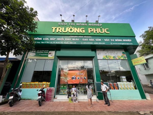 Hạt giống rau củ quả - Hạt giống Trường Phúc