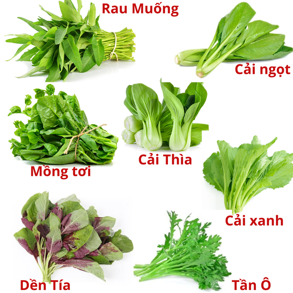 hạt giống rau ăn lá