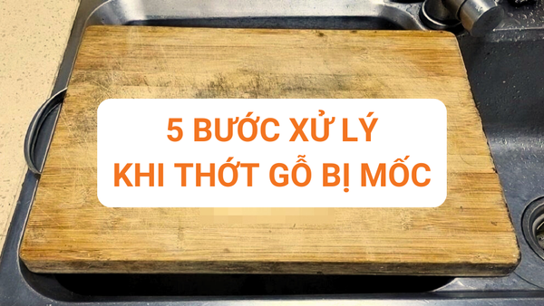 5 BƯỚc XỬ LÝ Khi ThỚt GỖ BỊ MỐc