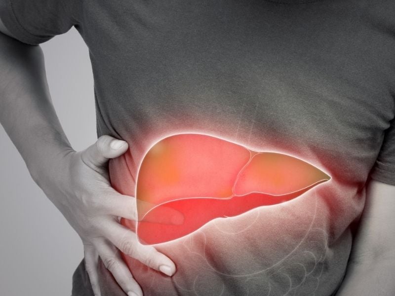 vai-tro-quan-trong-cua-gan