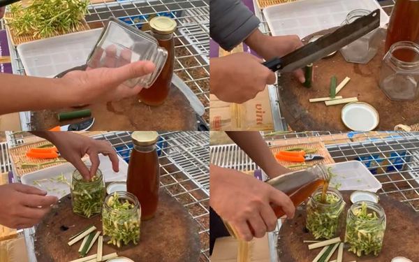 5 TÁC DỤNG CỦA HOA ĐU ĐỦ ĐỰC NGÂM MẬT ONG ĐỐI VỚI SỨC KHỎE