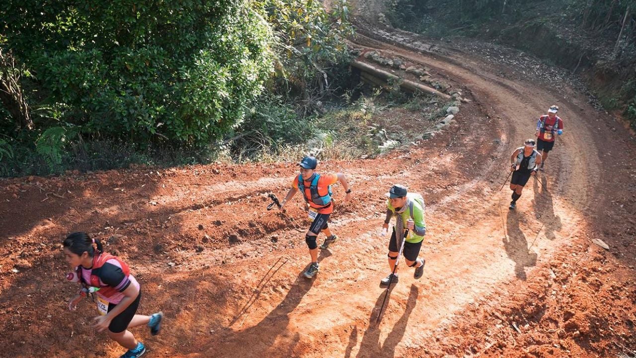 10 bí quyết chạy bộ mùa xuân giúp bạn bứt phá phong độ ngay từ đầu mùa