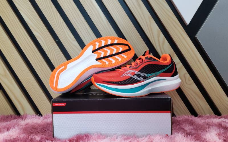 le coq sportif escrime low