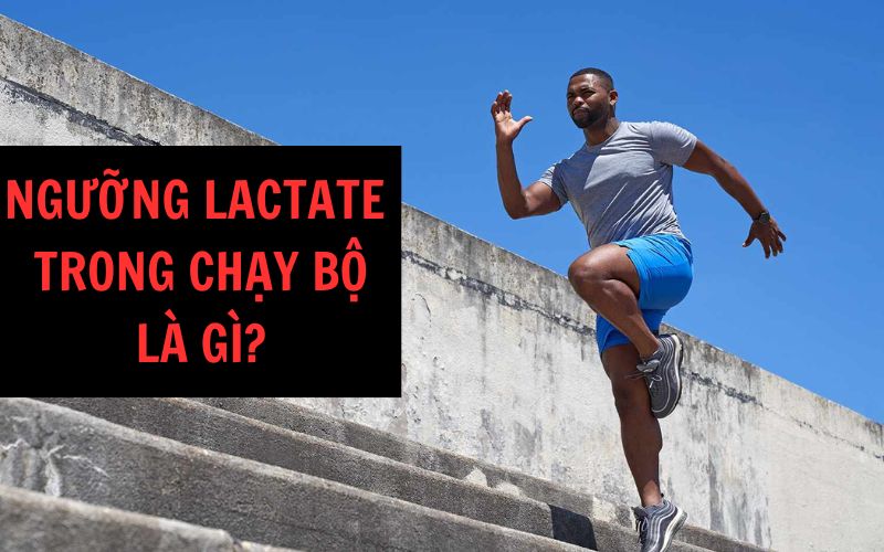 Ngưỡng lactate là gì? Ứng dụng của lactate threshold trong chạy bộ
