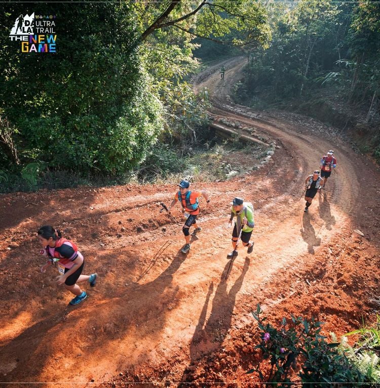 chay-bo-chay-trail