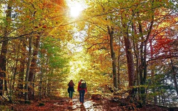 Địa hình chạy bộ hoặc đi bộ ảnh hưởng đến tốc độ đốt cháy calo