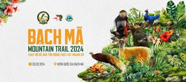 Giải chạy trail Bach Ma Mountain Trail 2024