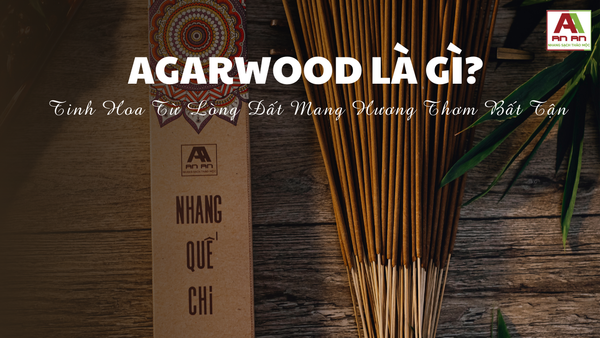 Agarwood Là Gì? Tinh Hoa Từ Lòng Đất Mang Hương Thơm Bất Tận