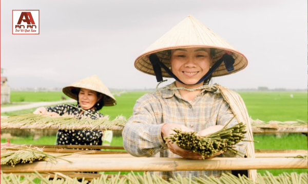 Cách làm nhang ngải cứu tại nhà – Có nên tự làm hay không?