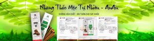 5 LÝ DO BẠN NÊN LỰA CHỌN NHANG SẠCH AN AN
