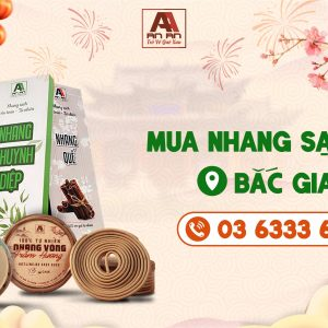 Mua Nhang Sạch tại Bắc Giang và Cách nhận biết Nhang Hương Sạch
