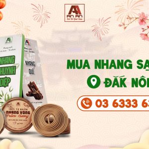 Mua nhang sạch tại Đắk Nông và Lưu ý khi thắp Nhang Hương