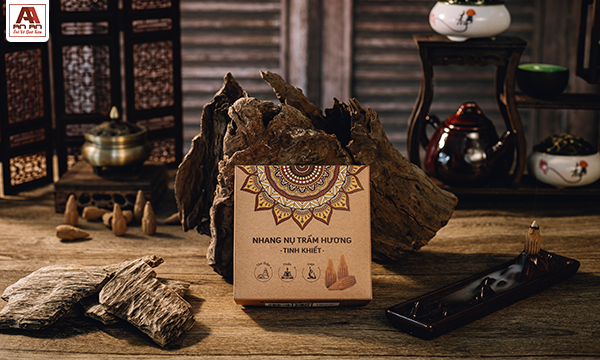 Nụ trầm và nhang trầm khác nhau thế nào? So sánh nụ trầm, nhang cây và nhang vòng trầm