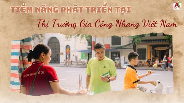 Tiềm Năng Phát Triển Của Thị Trường Gia Công Nhang Việt Nam