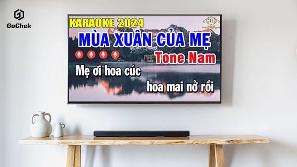 bộ karaoke gồm những gì