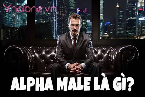 Alpha male là gì? Mẫu người đàn ông lý tưởng hay gia trưởng?
