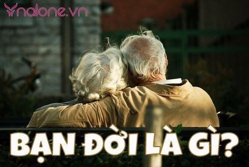 Bạn đời là gì? Làm thế nào để tìm được người bạn đời phù hợp?
