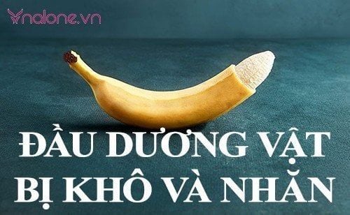 Đầu dương vật bị khô và nhăn – Nguyên nhân và cách điều trị