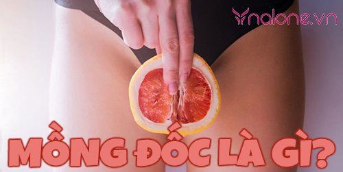 Mồng đốc là gì? Vị trí, cấu tạo và chức năng của bộ phận này