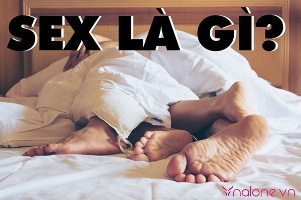 Sex là gì? Những điều thú vị về sex có thể bạn chưa biết?