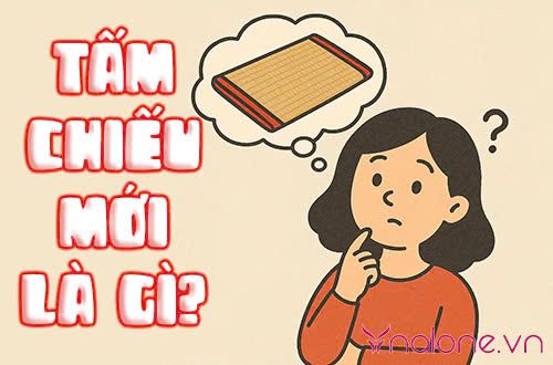 Tấm chiếu mới là gì? Ý nghĩa và cách ứng dụng vào thực tế