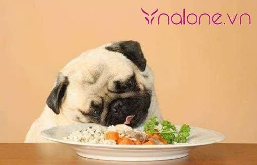 Phát cẩu lương là gì trên mạng mà lại viral đến thế?