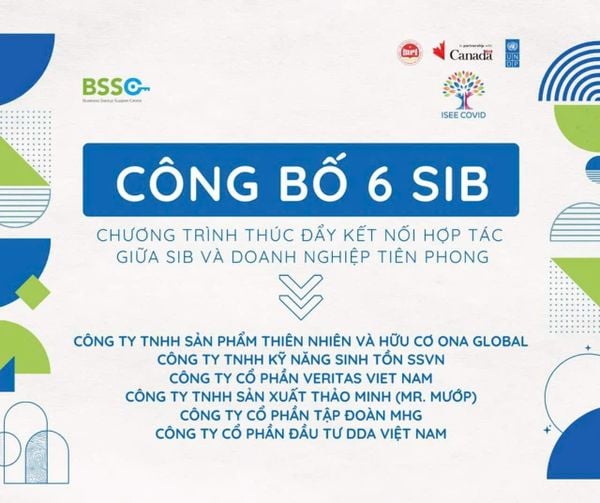 DDA lọt top 6 SIB