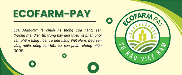 Xu hướng mua hàng điện tử và sự phát triển của Ecofarm Pay