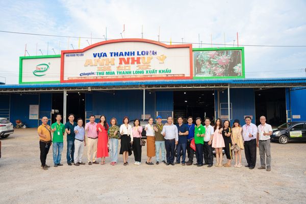 Tham quan Thanh long Liễu Đào và Ba Tường Farm