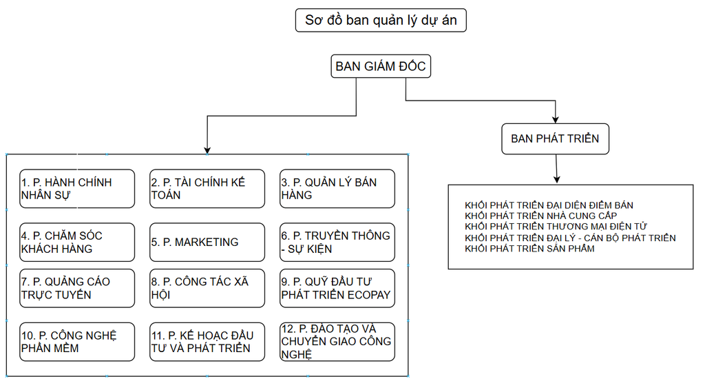 Cơ cấu tổ chức
