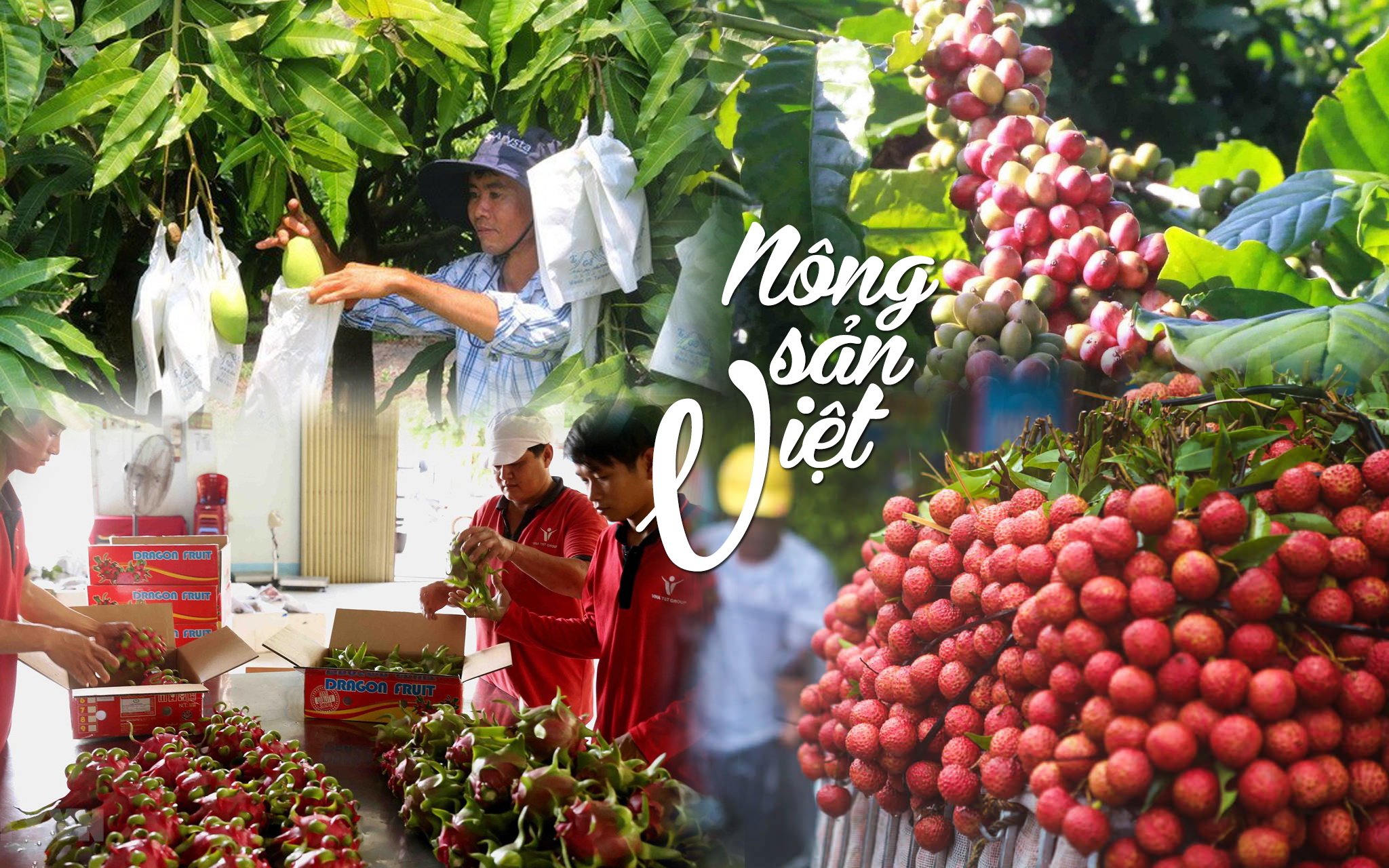 Xu hướng lựa chọn quà Tết 2024: Nông sản Việt lên ngôi