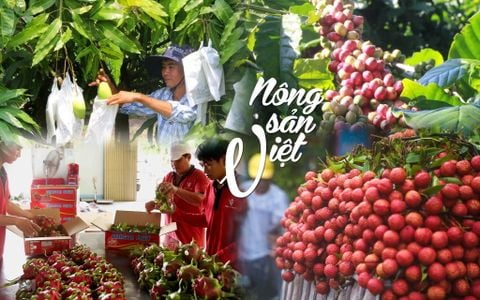Xu hướng lựa chọn quà Tết 2024: Nông sản Việt lên ngôi