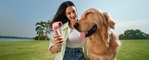 Cách Sử Dụng Quạt Mini Đúng Cách Để Không Chai Pin, Hư Động Cơ – Kinh Nghiệm Từ Người Dùng Thực Tế