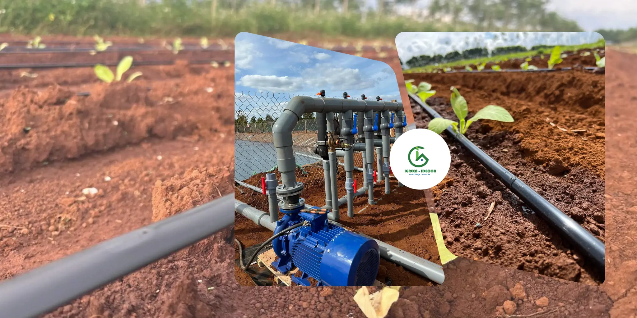 HỆ THỐNG TƯỚI NHỎ GIỌT TỰ ĐỘNG CHO CÂY THUỐC LÁ
