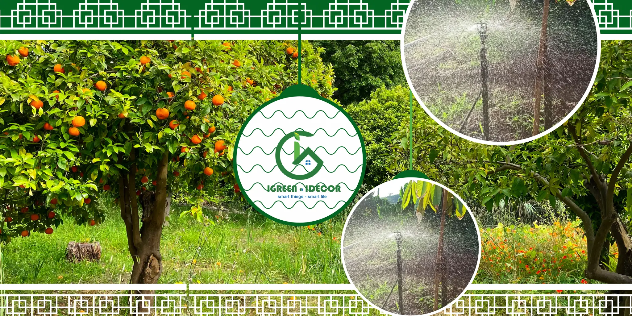HỆ THỐNG TƯỚI TỰ ĐỘNG CHO CÂY CAM