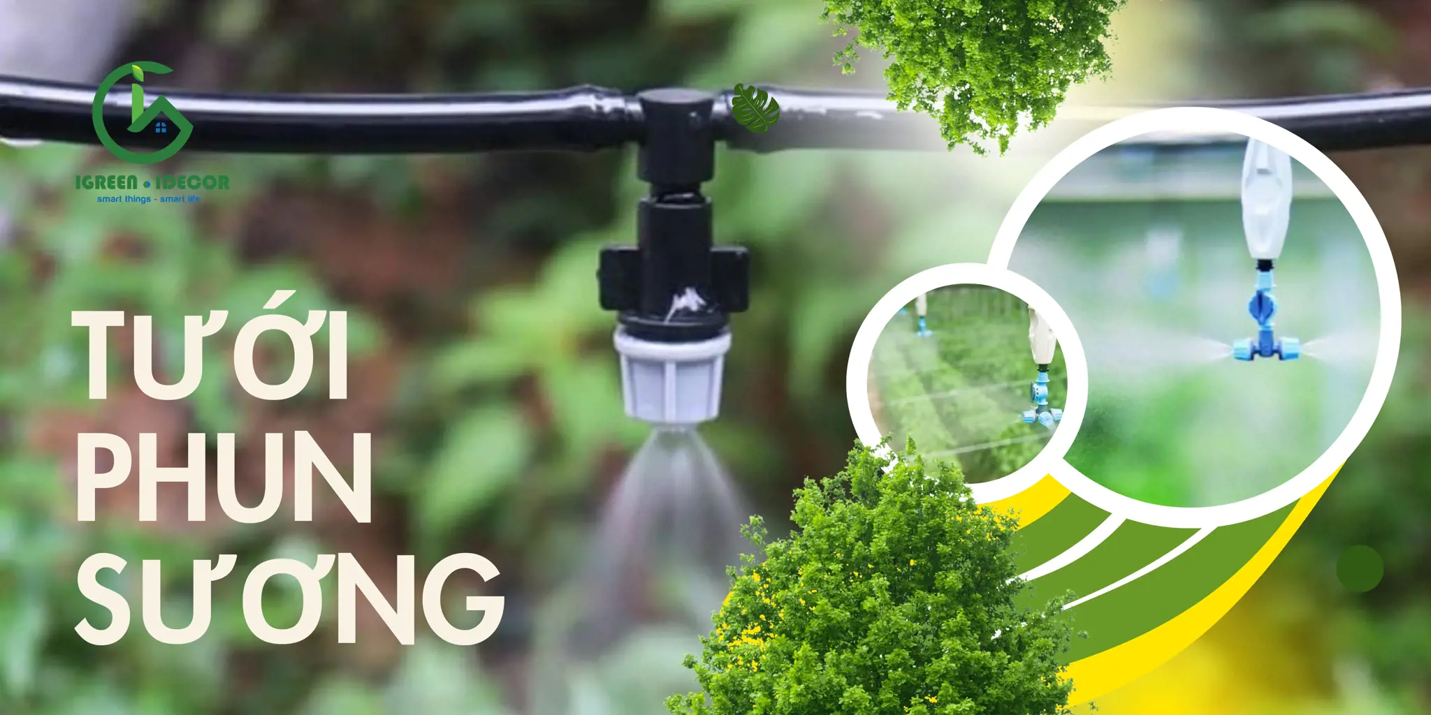 HIỂU VỀ TƯỚI PHUN SƯƠNG NGUYÊN LÍ HOẠT ĐỘNG VÀ CÁC MÔ HÌNH PHỔ BIẾN