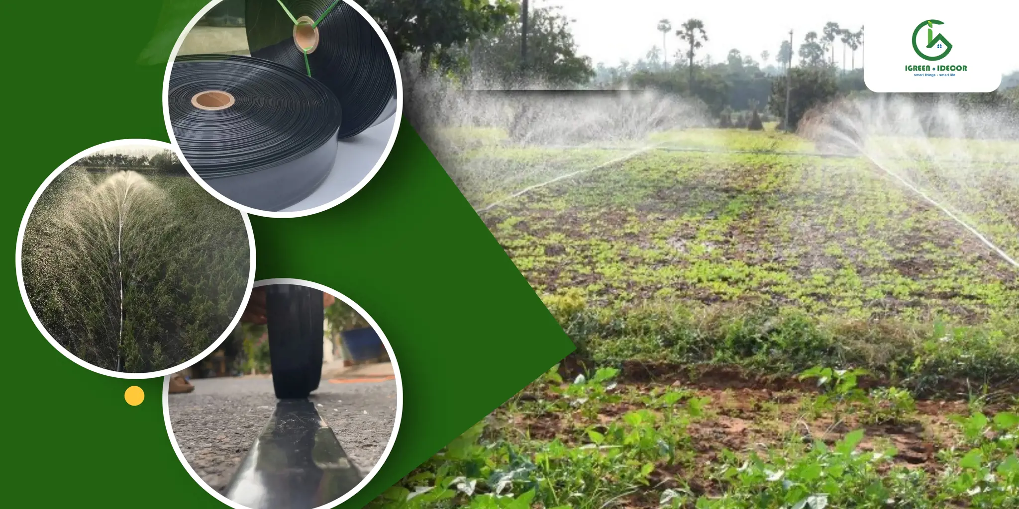 Những yếu tố cần lưu ý khi chọn dây tưới phun mưa cho nông nghiệp