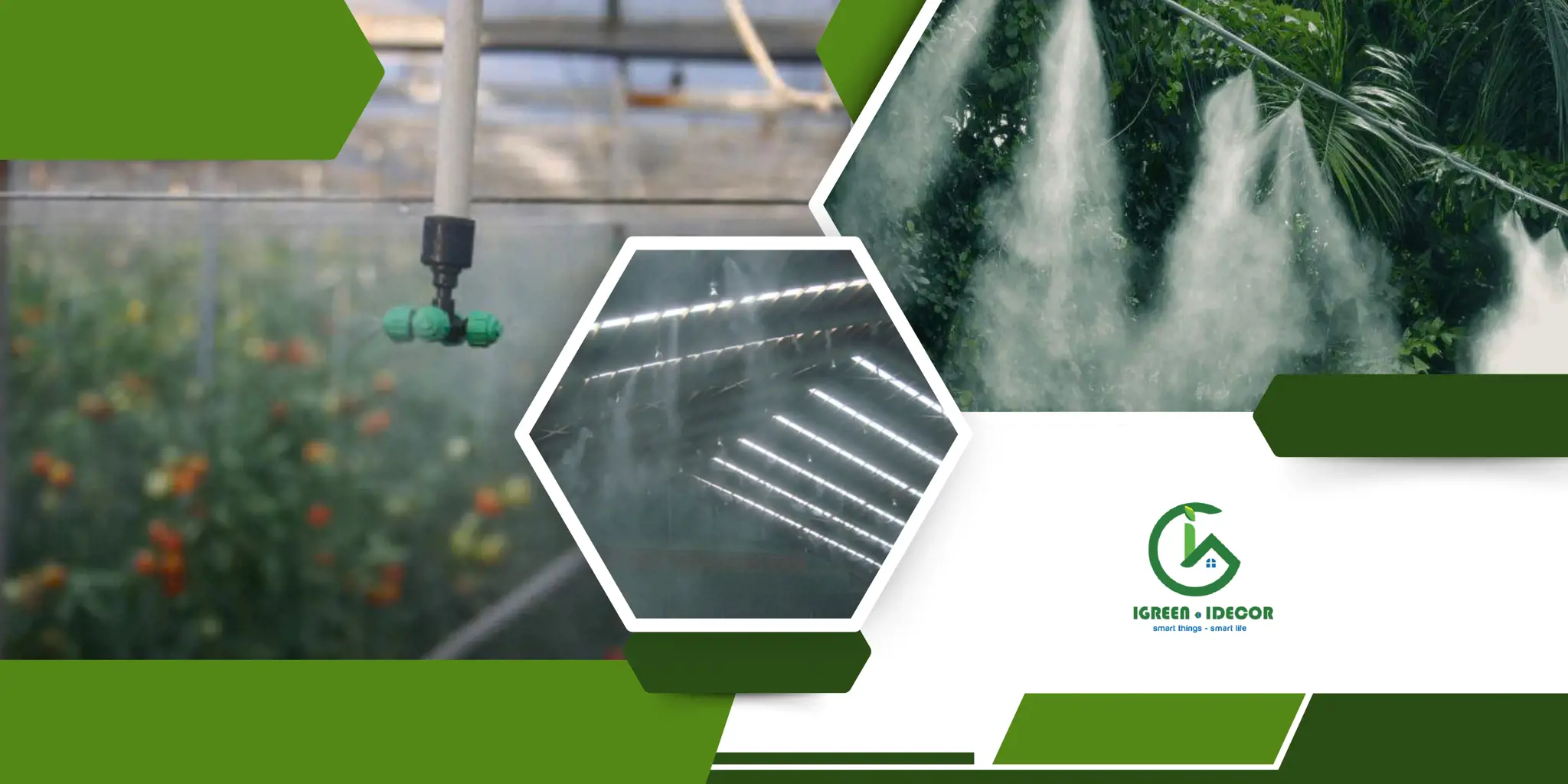Ứng Dụng Tưới Phun Sương Trong Nông Nghiệp và Cảnh Quan