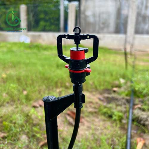 Béc tưới gốc bù áp AQ206PC lắp đặt 
       thực tế tại vườn tại Gia Lai