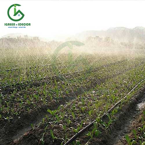 Dây tưới phun mưa Percent cho nông nghiệp
