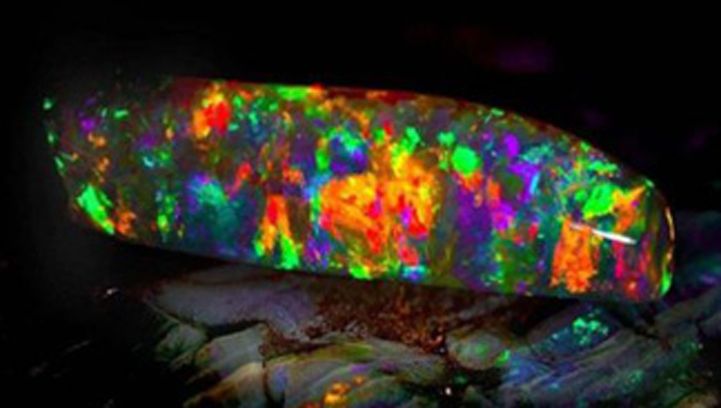 Viên đá Opal đẹp nhất hành tinh
