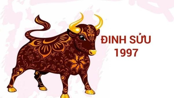 Nữ sinh năm 1997 thuộc tuổi Đinh Sửu, không gặp hạn Kim Lâu, nên có thể tiến hành cưới hỏi trong năm 2025