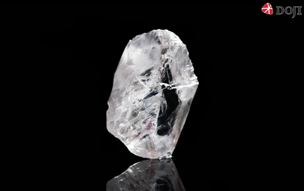 Constellation Diamond thiết lập kỷ lục giá bán cao nhất với 63,1 triệu USD