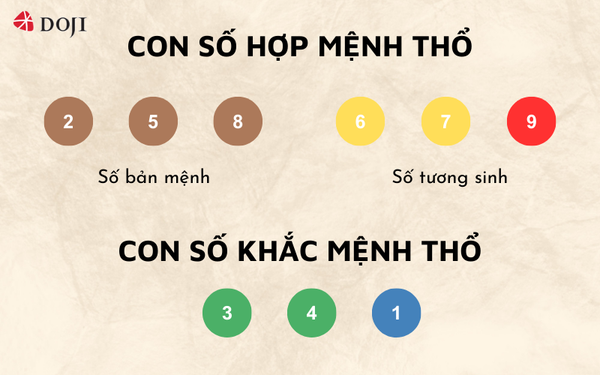 Người tuổi Mậu Dần 1998 nên ưu tiên sử dụng