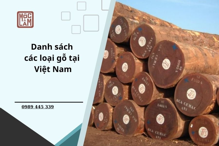Các Loại Gỗ Ở Việt Nam Thường Gặp