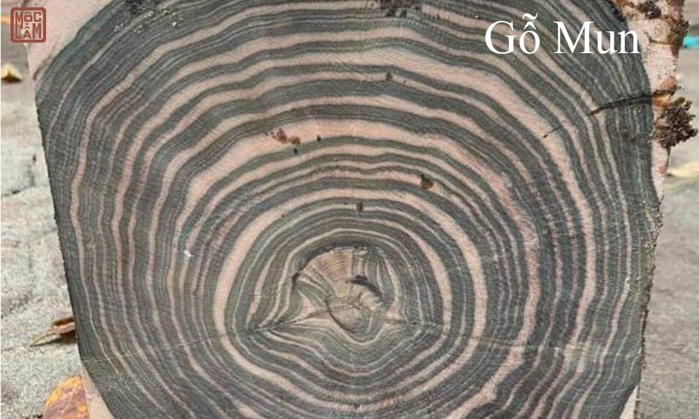 Gỗ Mun