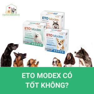 ETO Modex: Giải pháp hiệu quả trị ve rận và bọ chét cho chó yêu của bạn