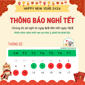 Thông báo nghỉ Tết Nguyên đán 2024