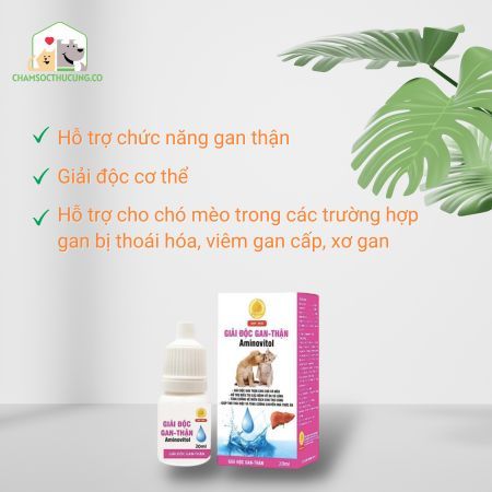Dung dịch giải độc gan thận Aminovitol