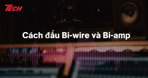 Hướng dẫn cách đấu loa Bi-Wire và Bi-Amp từ A-Z